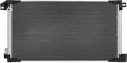 06-C30310